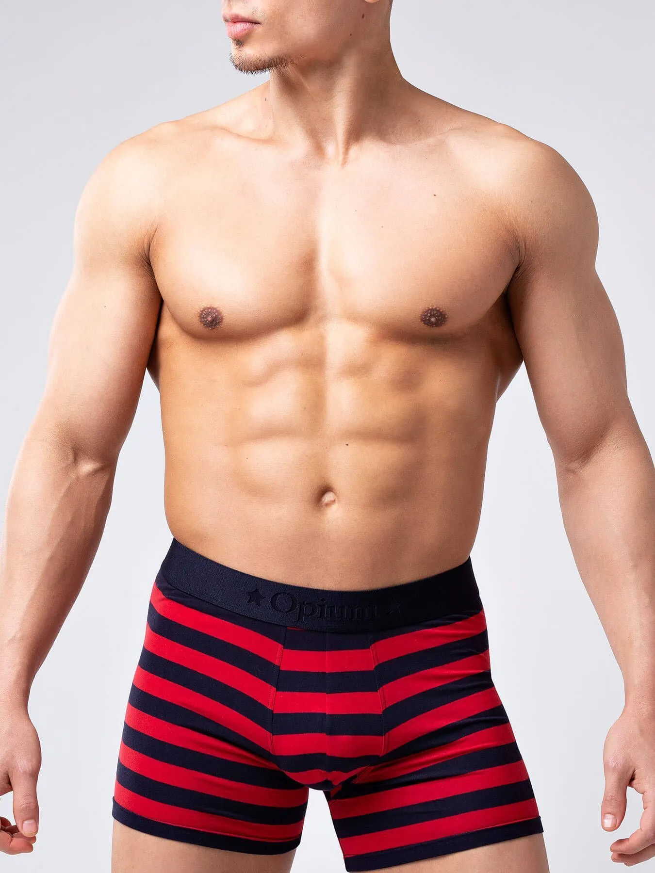 Эротическое трусы мужские удлиненные боксеры opium r126 в полоску в СПб