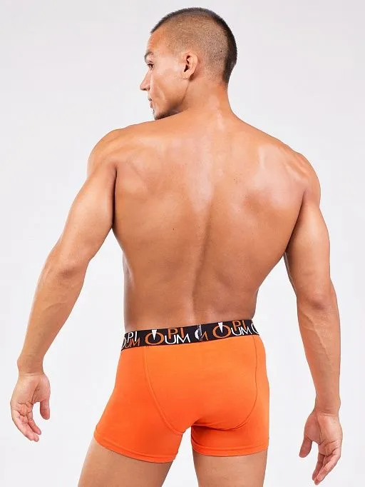 Эротическое трусы мужские боксеры opium r118, оранжевые в СПб