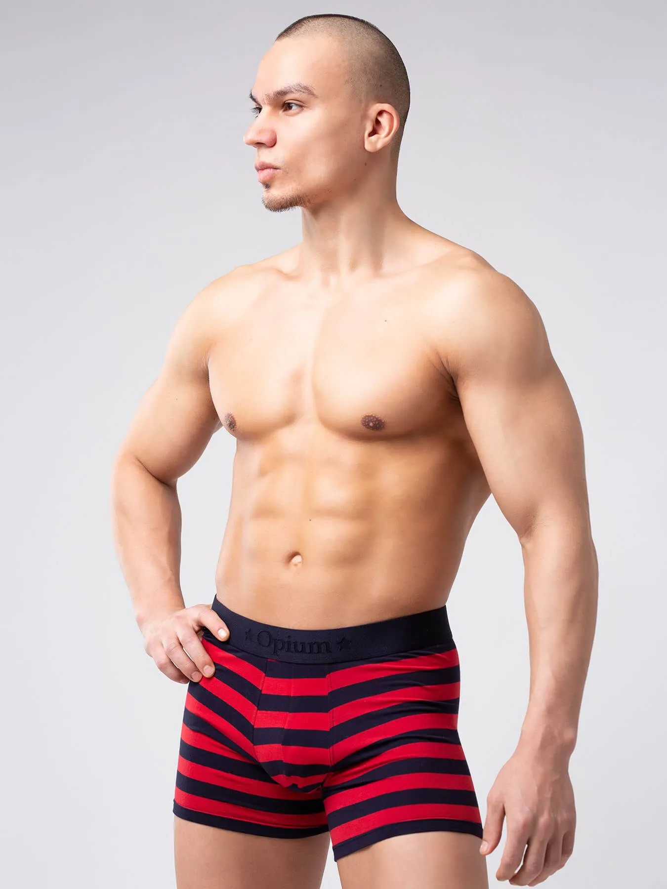 Эротическое трусы мужские удлиненные боксеры opium r126 в полоску в СПб